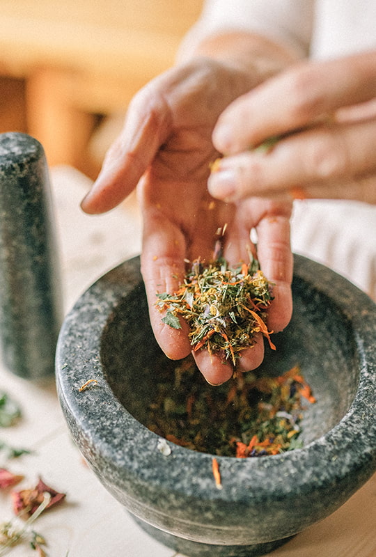 Hände lassen zerstossene Calendula-Blüten durch die Finger in einen Mörser rieseln
