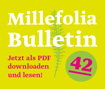 Deutschsprachiges Banner für das Millefolia Bulletin 42 in hellgrün, Magenta und weiss
